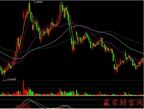 000005 世紀(jì)星源 漲停板買(mǎi)股案例分析圖