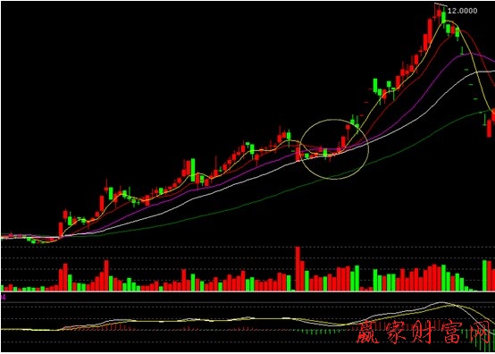 000005 世紀(jì)星源 漲停板買(mǎi)股案例分析圖