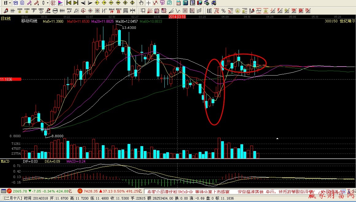 4.23  世紀瑞爾 2