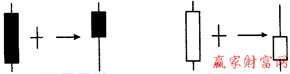 十字孕線形態的簡化