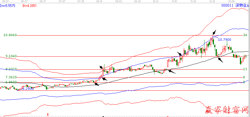 斐波那契額循環線圖