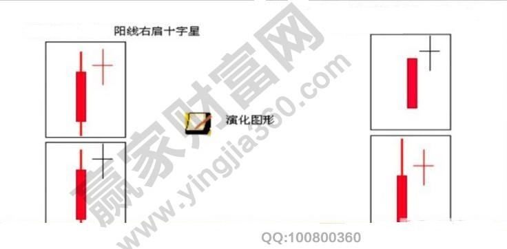 陽(yáng)線右肩十字長(zhǎng)(星)