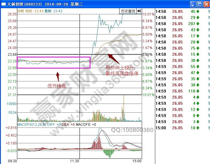大楊創世分時圖