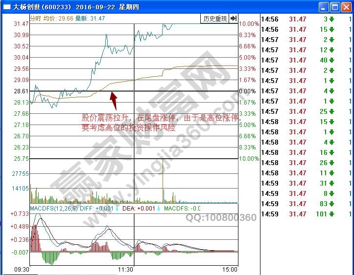 大楊創世分時圖