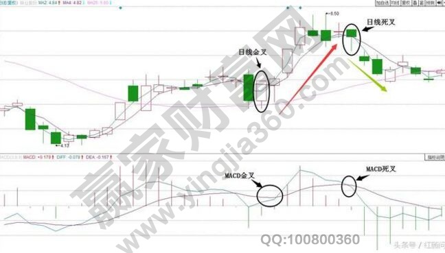 鋅業股份走勢圖