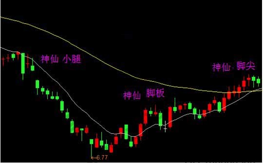 神仙腳形態.jpg