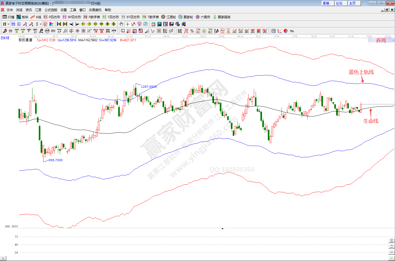 養雞概念趨勢分析